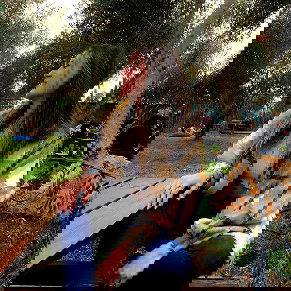 yasmin_kb yasmin_kb archive image