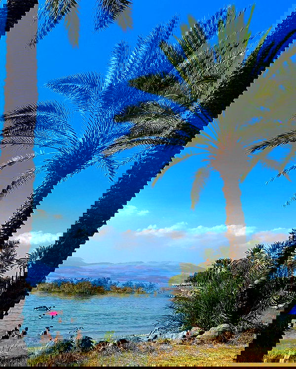 yasmin_kb yasmin_kb archive image