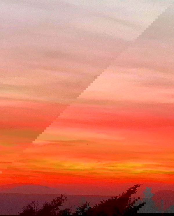 yasmin_kb yasmin_kb archive image