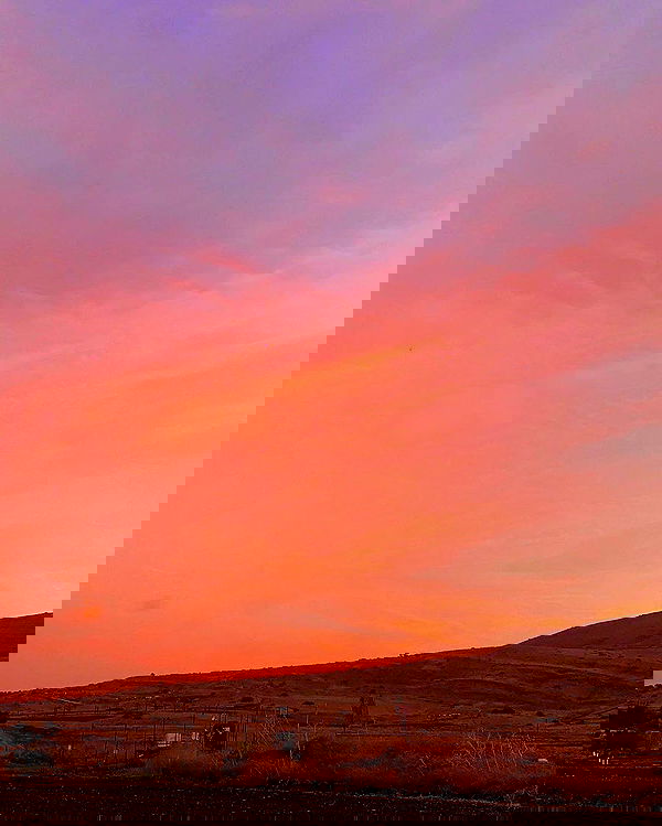 yasmin_kb yasmin_kb archive image