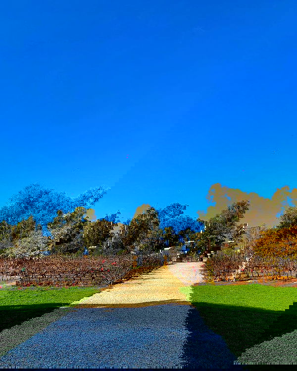 yasmin_kb yasmin_kb archive image