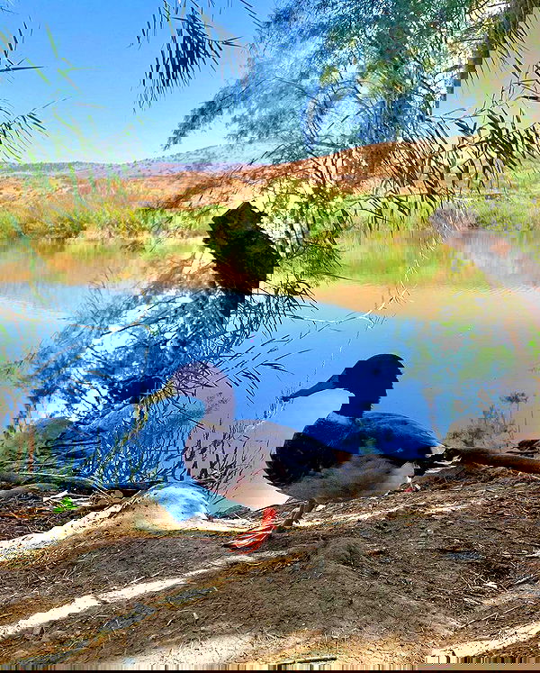 yasmin_kb yasmin_kb archive image