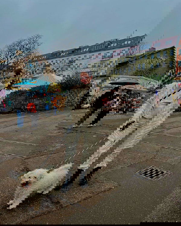 yasmin_kb yasmin_kb archive image