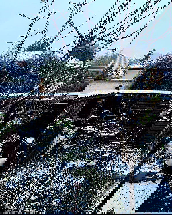 yasmin_kb yasmin_kb archive image