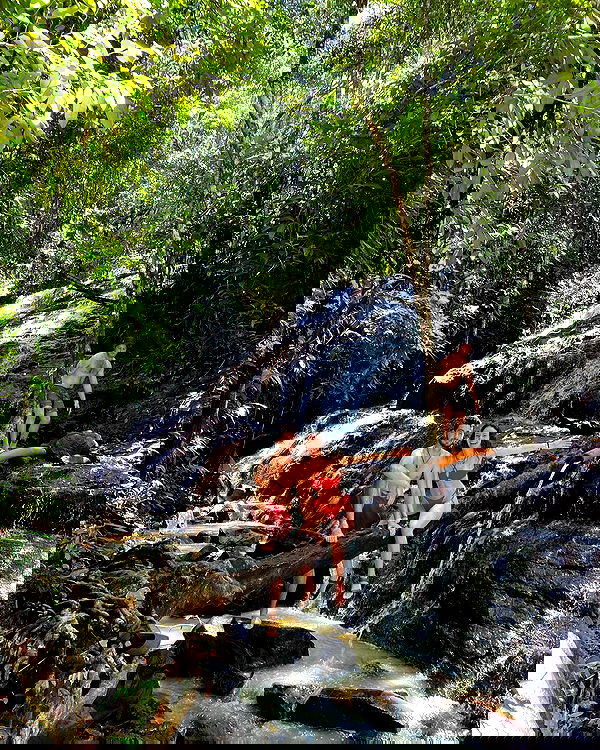 yasmin_kb yasmin_kb archive image