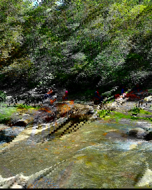 yasmin_kb yasmin_kb archive image