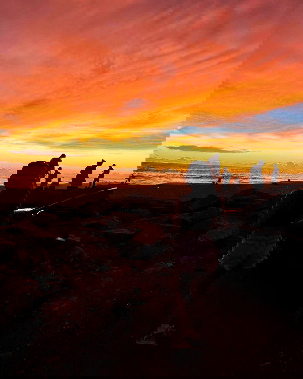 yasmin_kb yasmin_kb archive image