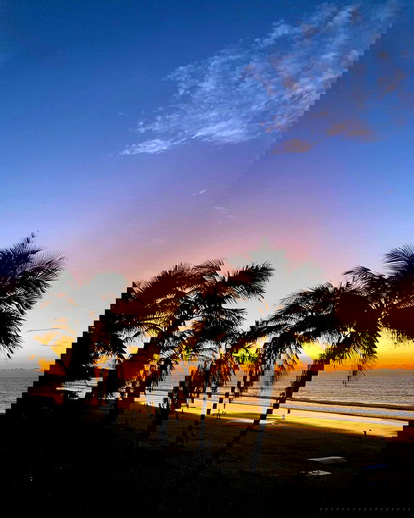 yasmin_kb yasmin_kb archive image