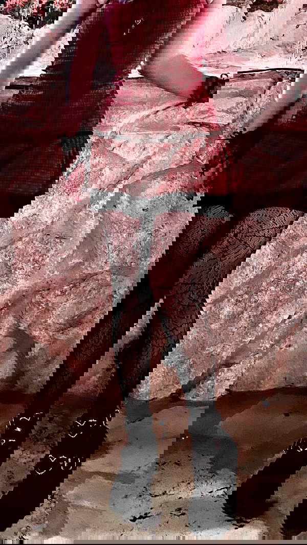 00ananana0 00ananana0 archive image