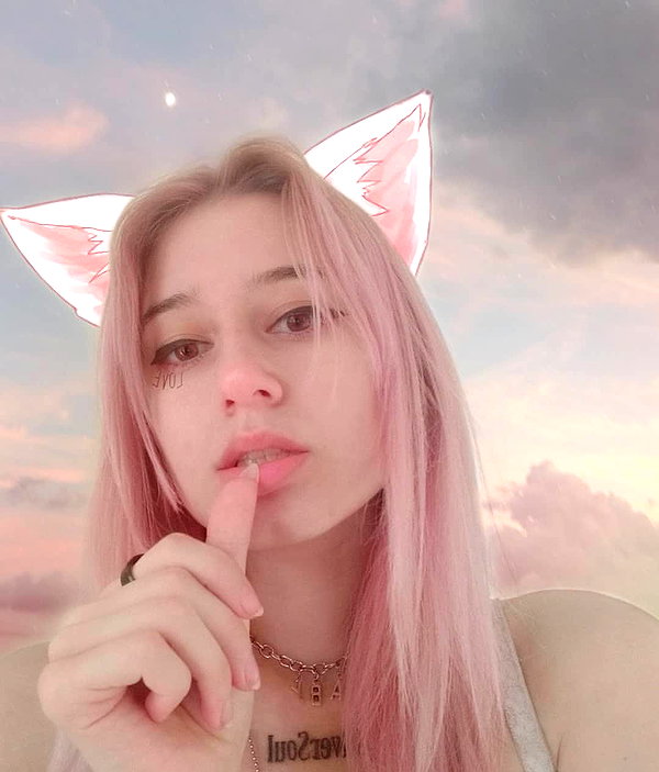 6kvvn 6kvvn archive image