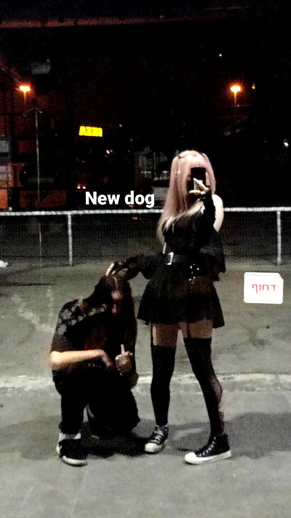 6kvvn 6kvvn archive image