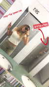 _ellen_11 Altpins Profile Picture