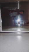 _lironattias Altpins Profile Picture