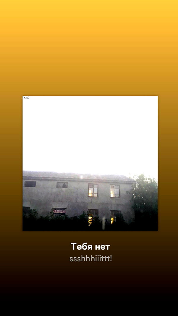 avitallllllll instagram image archive image