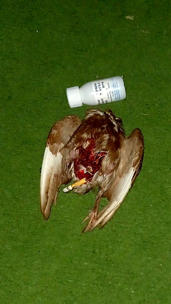 avitallllllll instagram image archive image