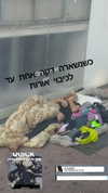 avitallllllll Altpins Profile Picture