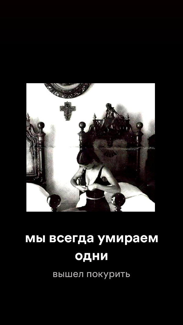 avitallllllll avitallllllll archive image