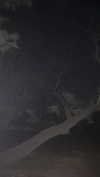 avitallllllll Altpins Profile Picture