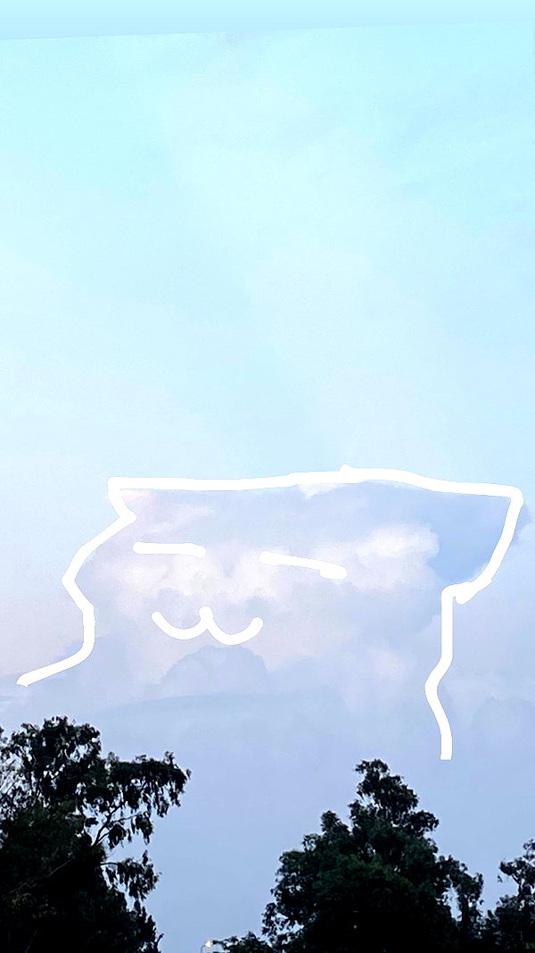 avitallllllll instagram image archive image