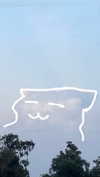avitallllllll Altpins Profile Picture