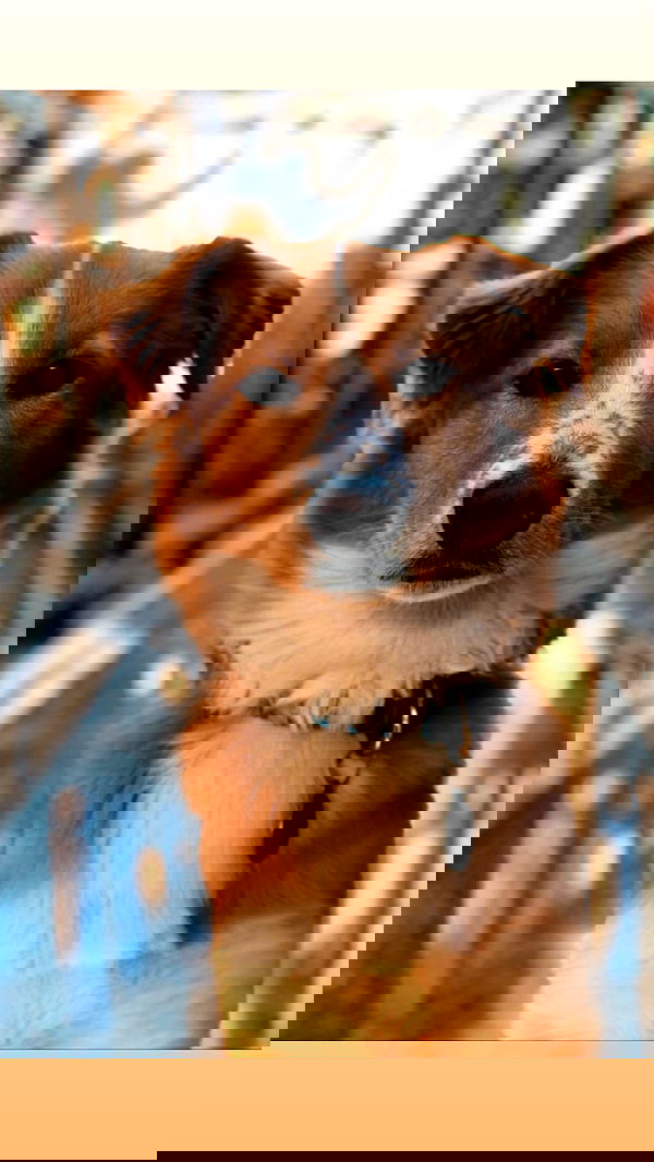 biton__adi biton__adi archive image