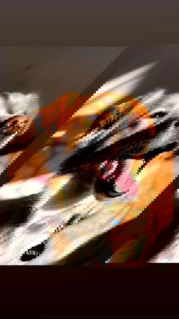 biton__adi biton__adi archive image