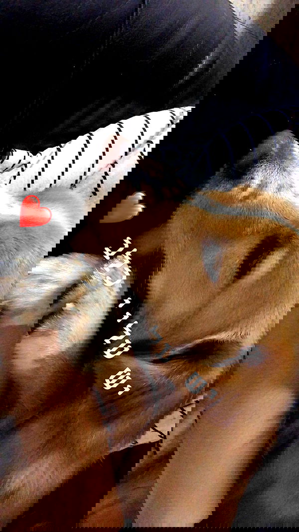 biton__adi biton__adi archive image