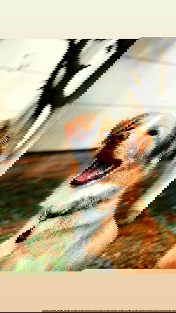 biton__adi biton__adi archive image