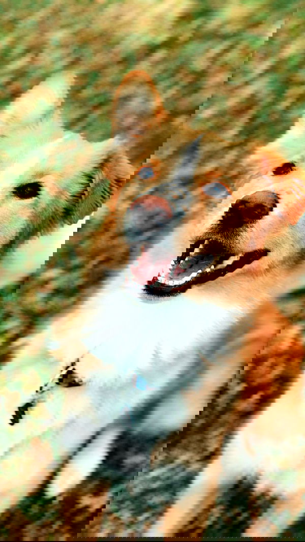 biton__adi biton__adi archive image