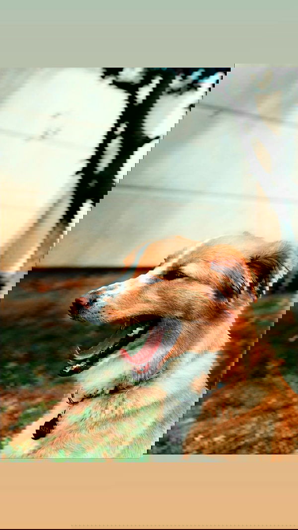 biton__adi biton__adi archive image