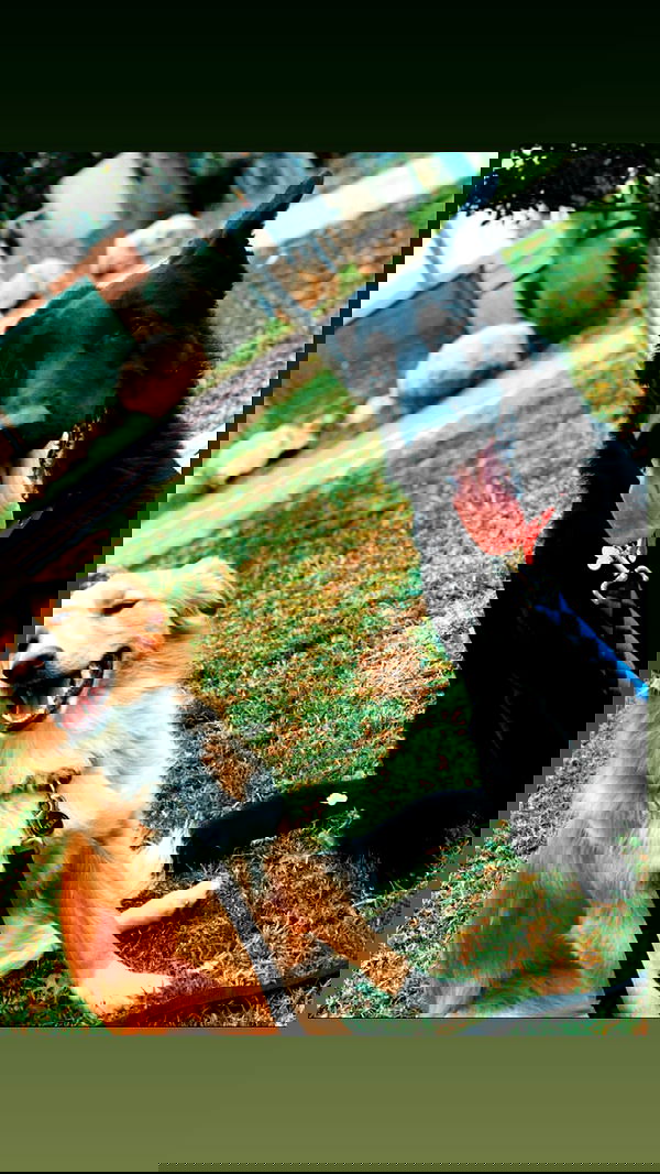 biton__adi biton__adi archive image