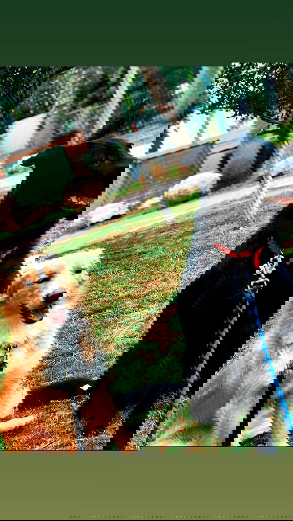 biton__adi biton__adi archive image