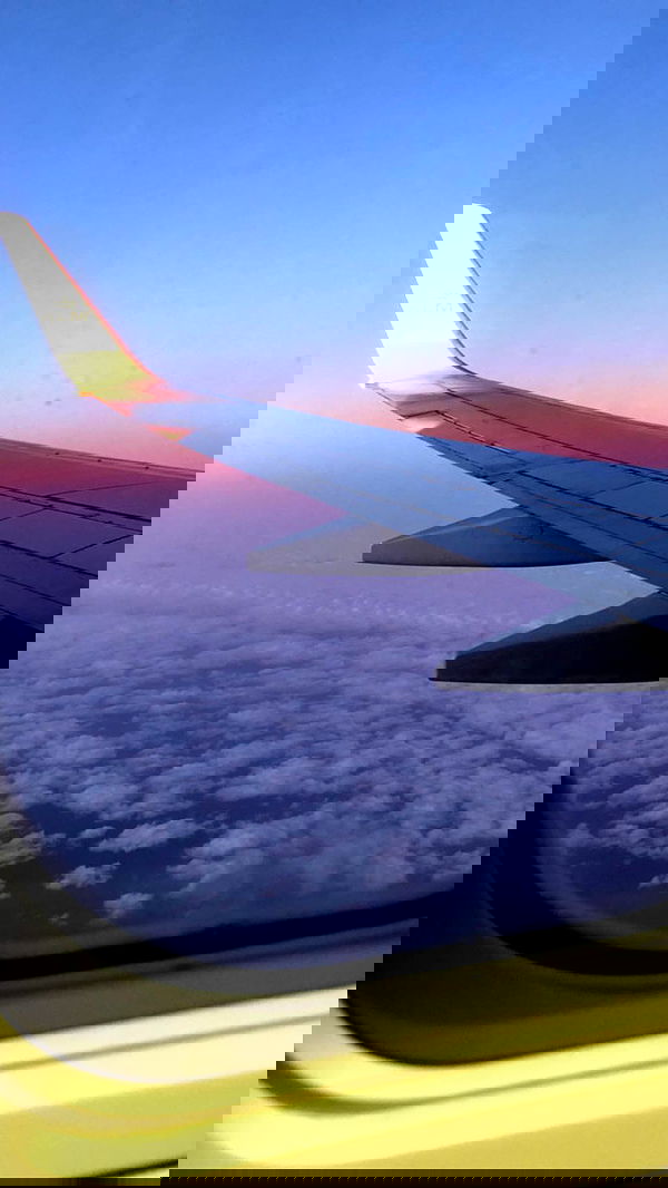 biton__adi biton__adi archive image