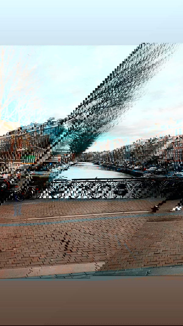 biton__adi biton__adi archive image