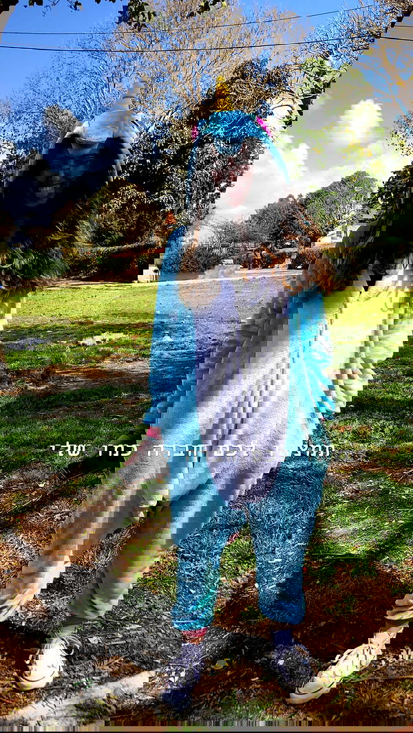 biton__adi biton__adi archive image