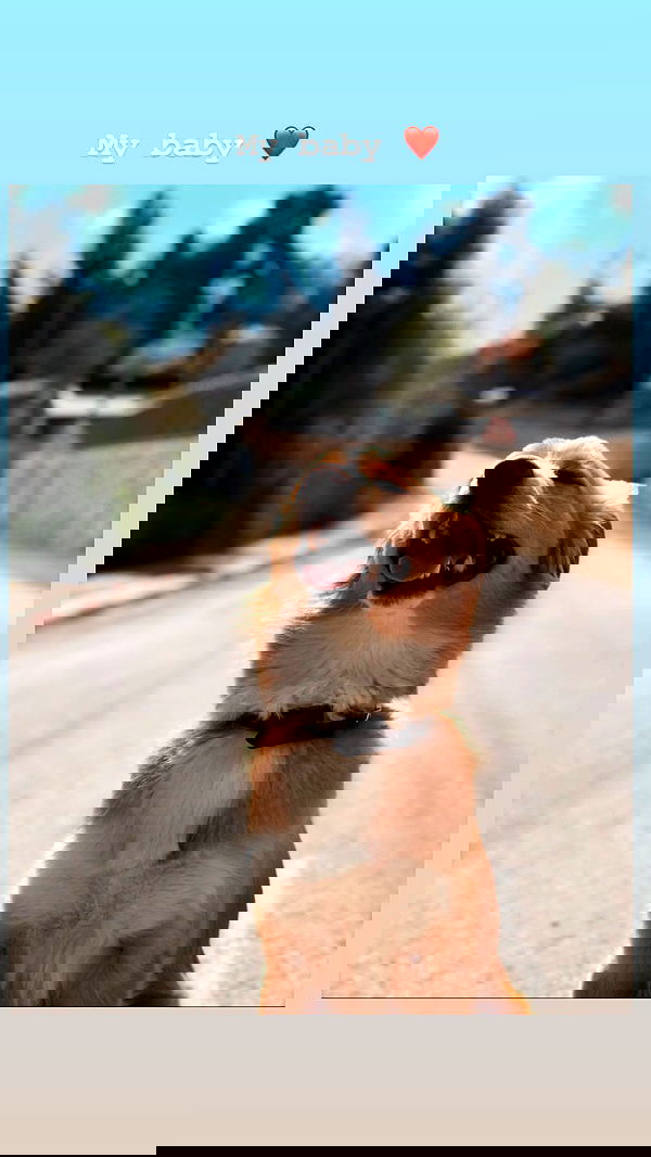 biton__adi biton__adi archive image