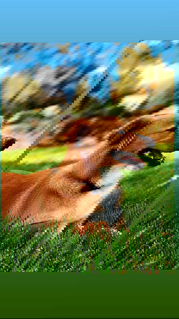 biton__adi biton__adi archive image