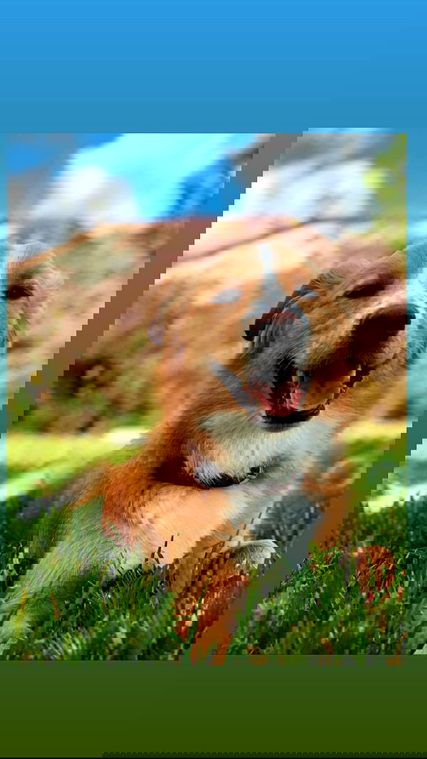 biton__adi biton__adi archive image