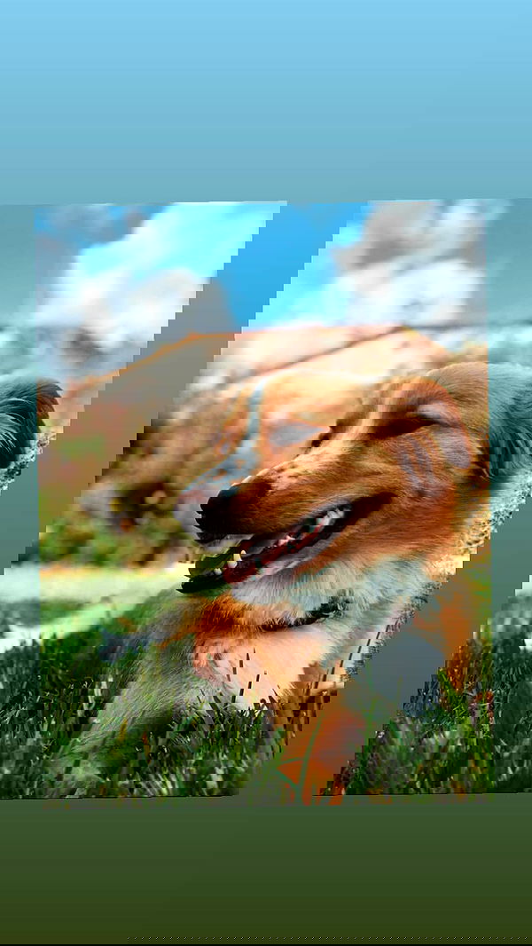 biton__adi biton__adi archive image