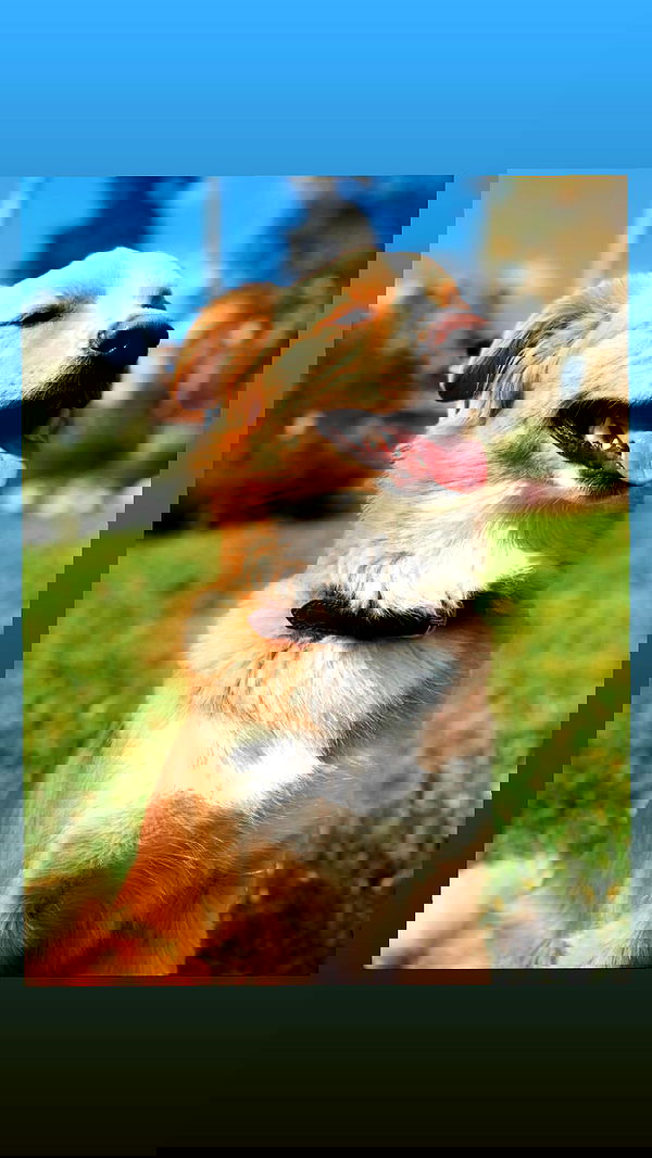 biton__adi biton__adi archive image