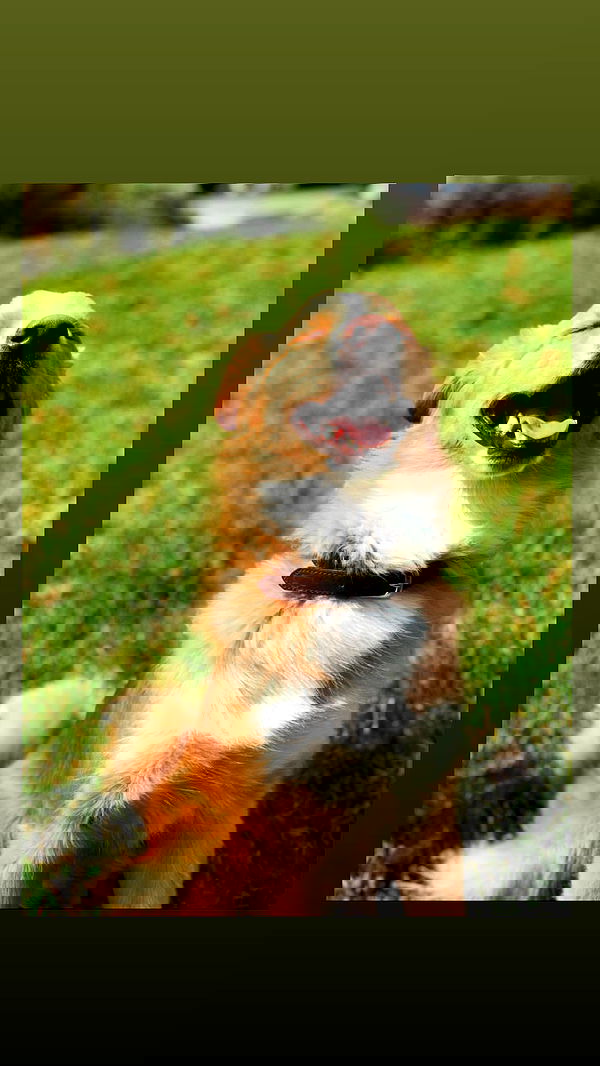 biton__adi biton__adi archive image