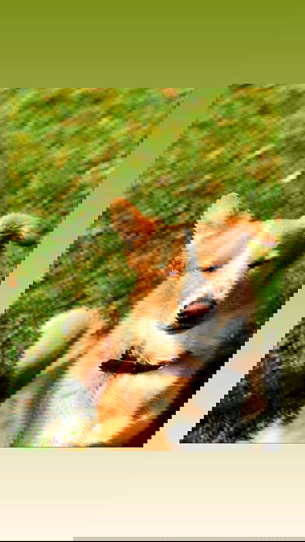 biton__adi biton__adi archive image