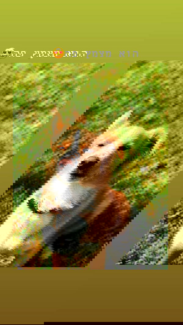 biton__adi biton__adi archive image