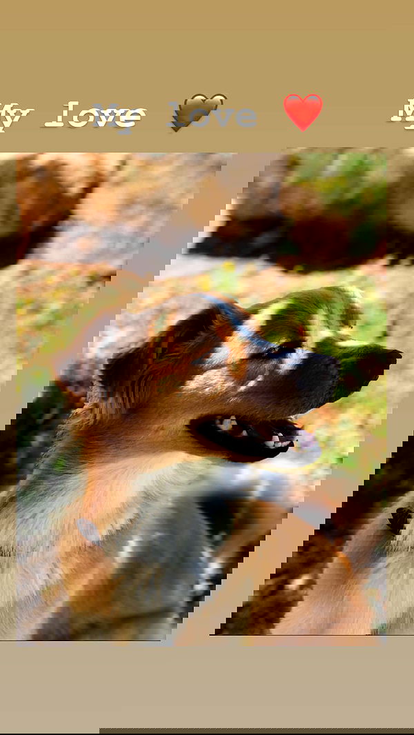 biton__adi biton__adi archive image