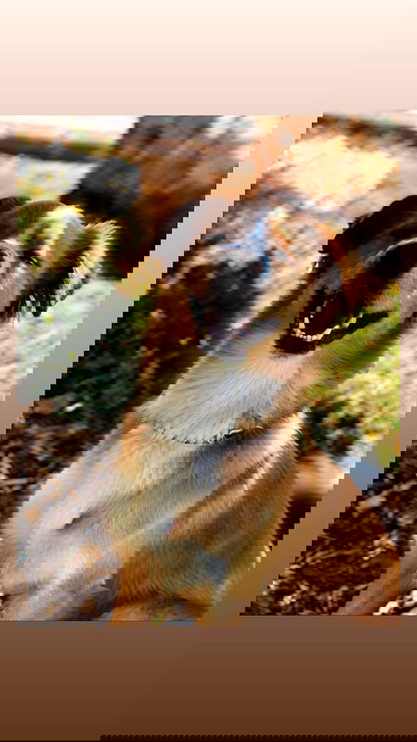 biton__adi biton__adi archive image