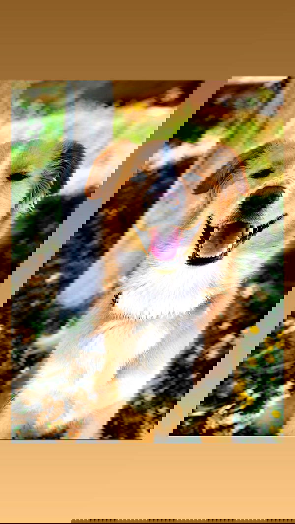 biton__adi biton__adi archive image