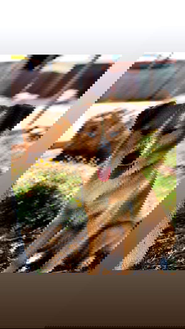 biton__adi biton__adi archive image