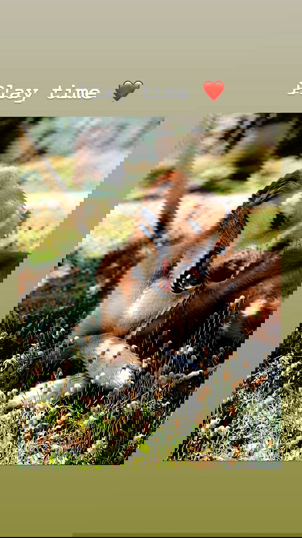 biton__adi biton__adi archive image