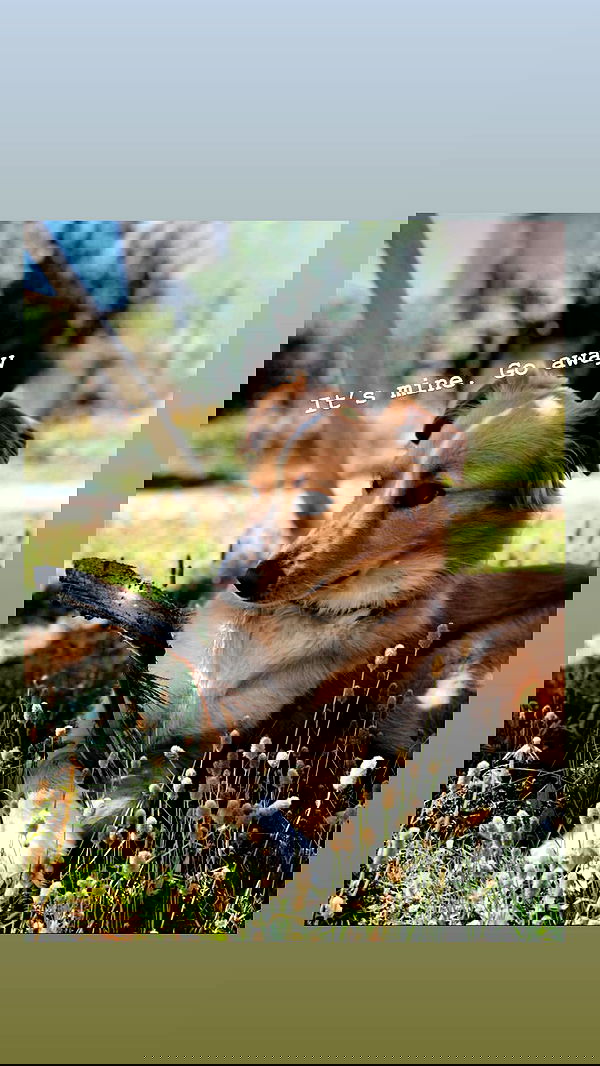 biton__adi biton__adi archive image