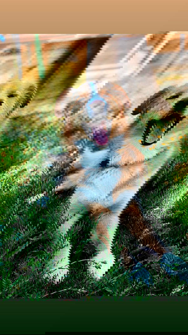 biton__adi biton__adi archive image